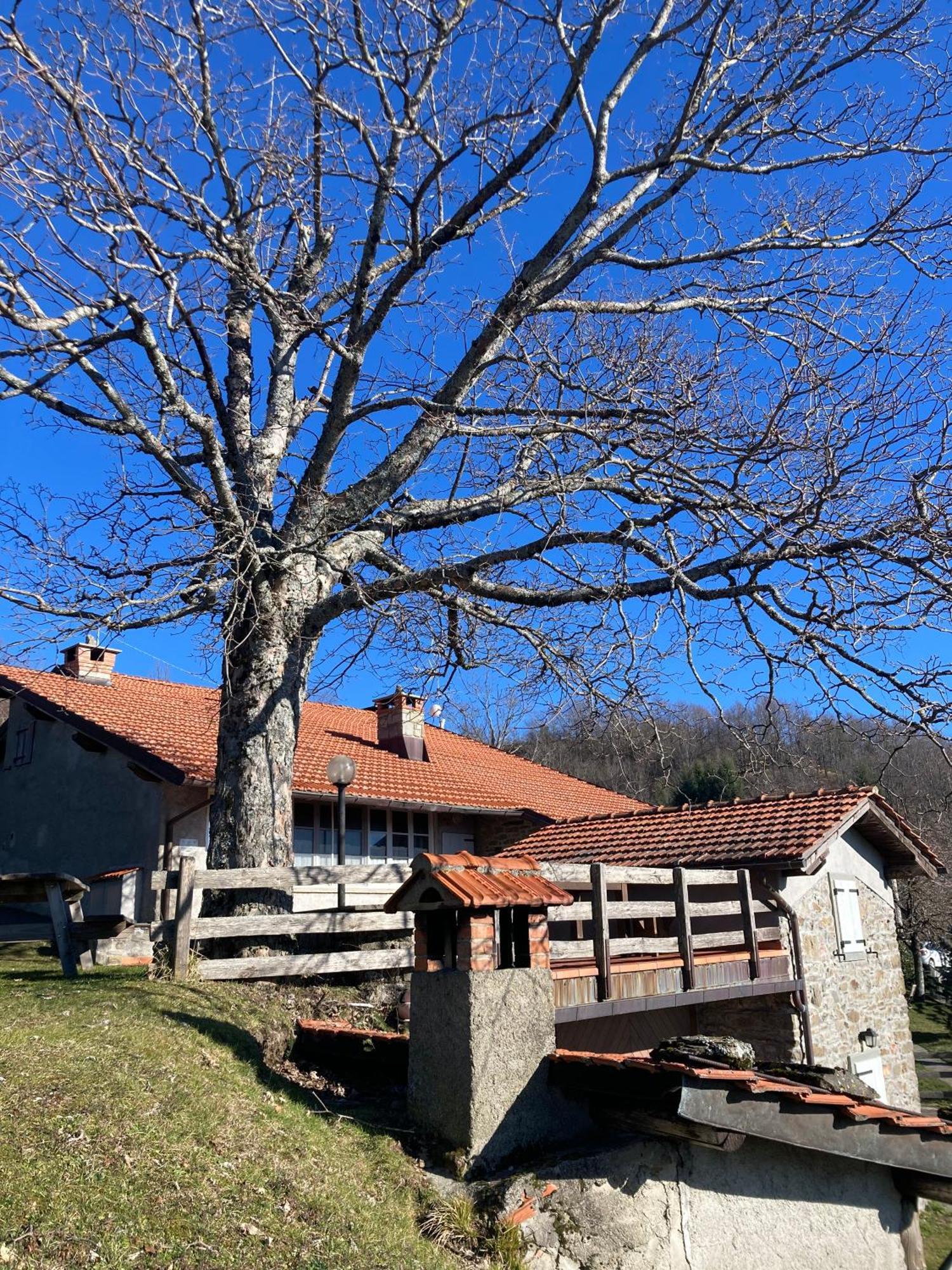 Casa Sperandini Pensionat San Marcello Pistoiese Eksteriør billede